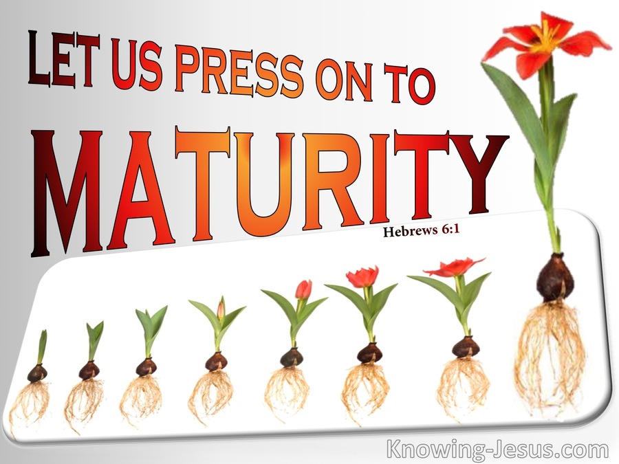 Hebrews 6:1 Press On To Maturity (red)